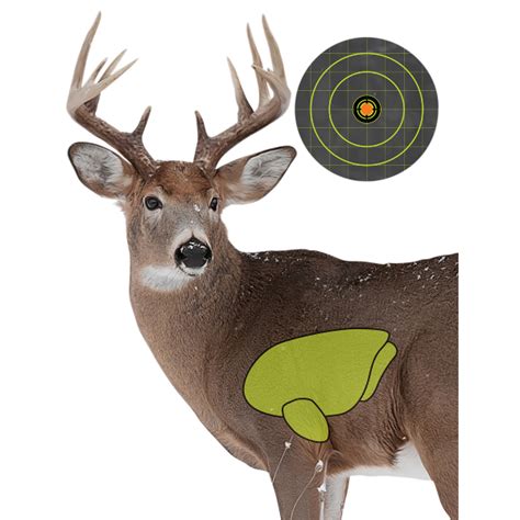 Deer Target Printable