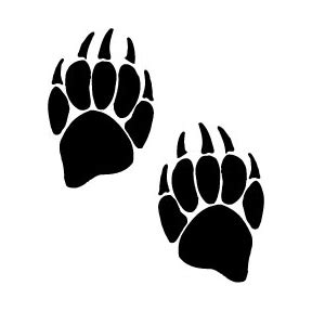 Bear-tracks clipart 20 free Cliparts | Download images on Clipground 2024