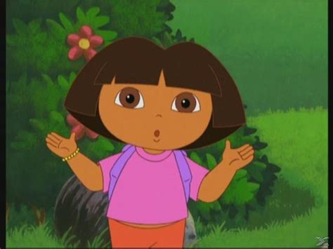 dora the explorer go diego go | Dora the explorer, Dora and friends, Go ...