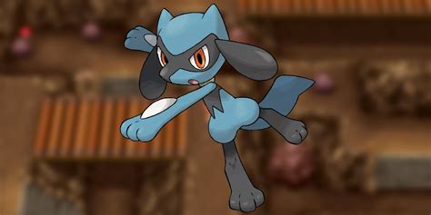 How to Find (& Catch) Riolu in Pokémon Brilliant Diamond & Shining ...