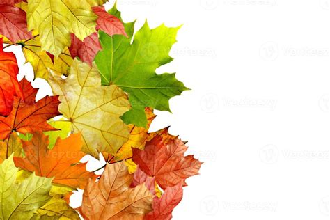 autumn leaves isolated on white background 9899041 Stock Photo at Vecteezy