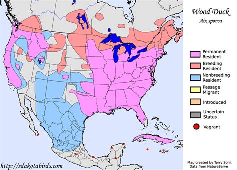 Wood Duck - Species Range Map