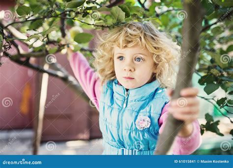 Happy Child Face between the Leaves Stock Image - Image of forest ...