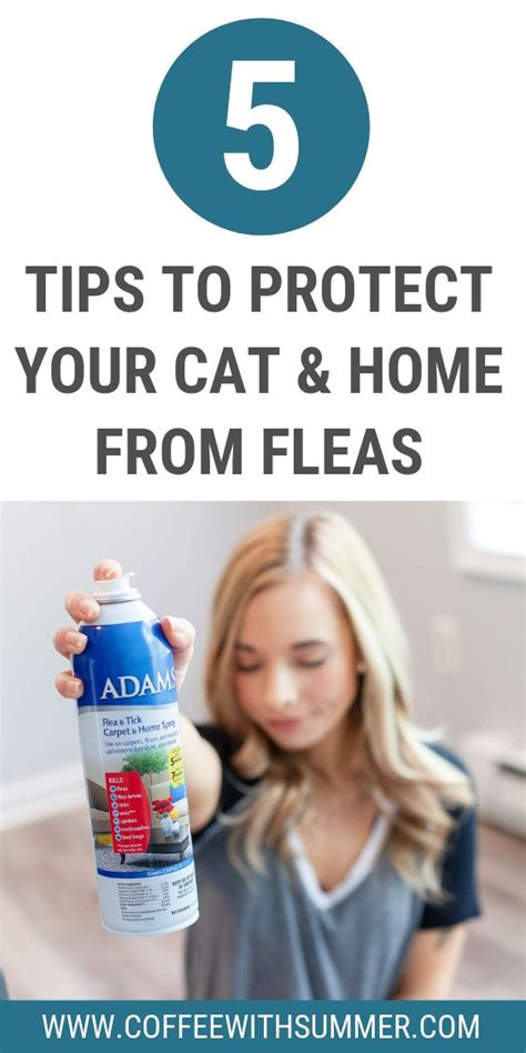 How To Protect Your Cat And Home From Fleas - Coffee With Summer ...