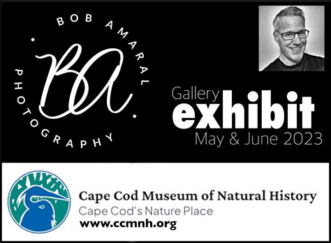 Exhibit at Cape Cod Museum of National History! – Bob Amaral Photography