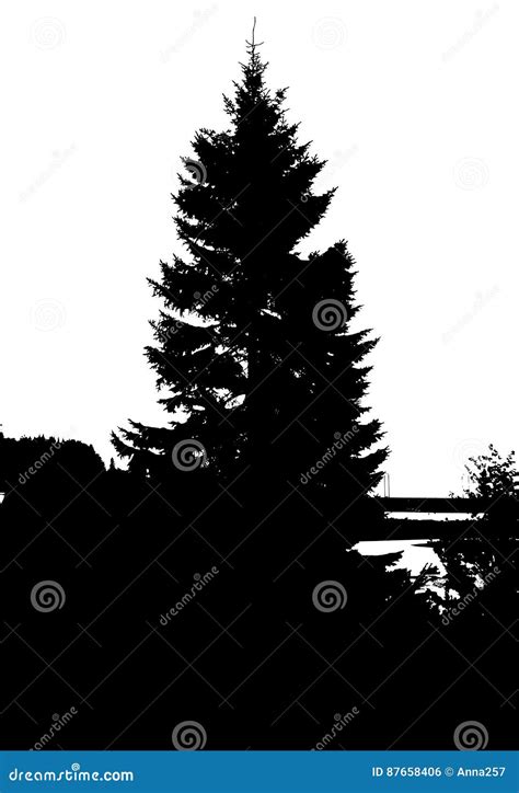 Black Forest Silhouette. Isolated on White Background Stock Vector ...