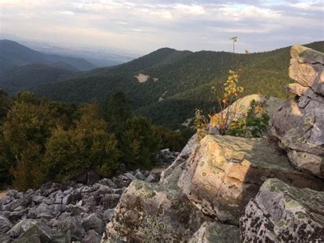 Top 9 Hiking Trails Around Charlottesville, Virginia - I Love CVille