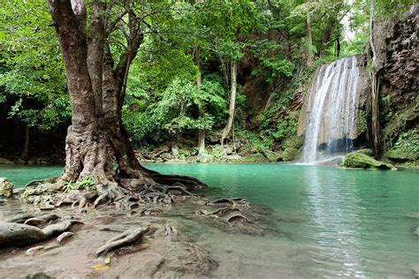 Waterfall In Tropical Rainforest #1 by Pidjoe