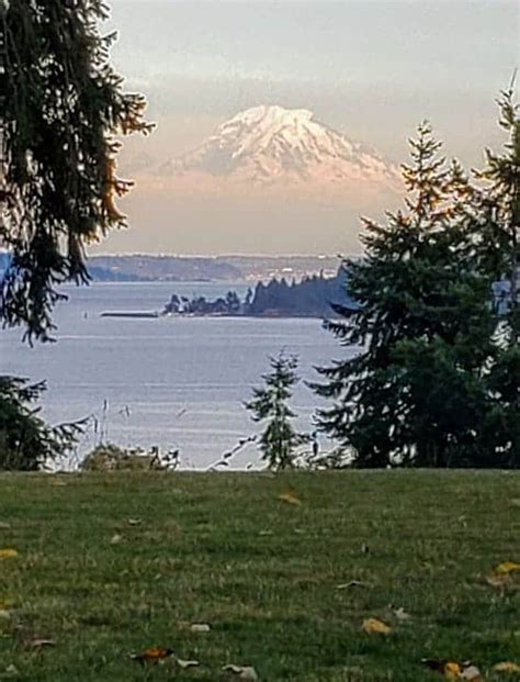 Community Walk: Seward Park Plus Qi Gong! - Seattle Unity