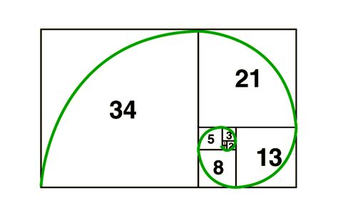 Understanding Fibonacci Numbers - Testbook