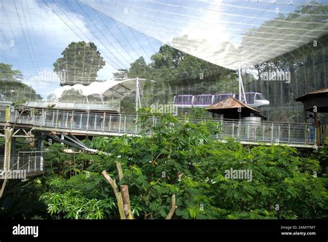 Monorail jurong bird park singapore hi-res stock photography and images - Alamy