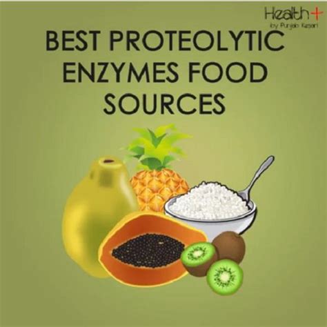 Proteolytic Enzymes के लिए बैस्ट हैं ये फूड - best proteolytic enzymes ...