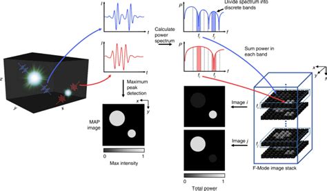 Photoacoustic F-Mode imaging for scale specific contrast in biological systems | Communications ...