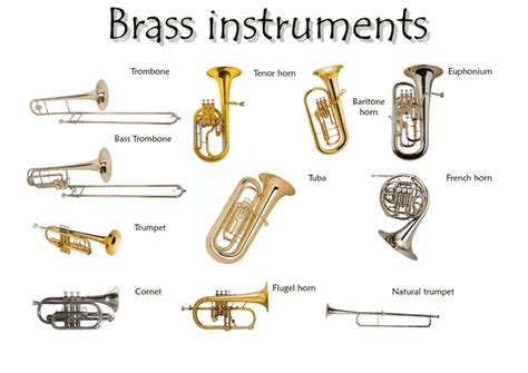 The 4 Main Types Of Music Instruments Explained By Pros - Omari MC