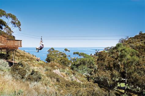 Catalina Zip Line Eco Tour | Catalina Island