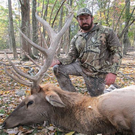 Hunting Elk: A Beginner’s Guide - Tioga Ranch