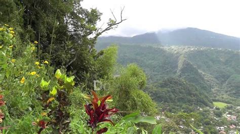 Discover Dominica, the Nature Island – I Love Dominica Companies Video