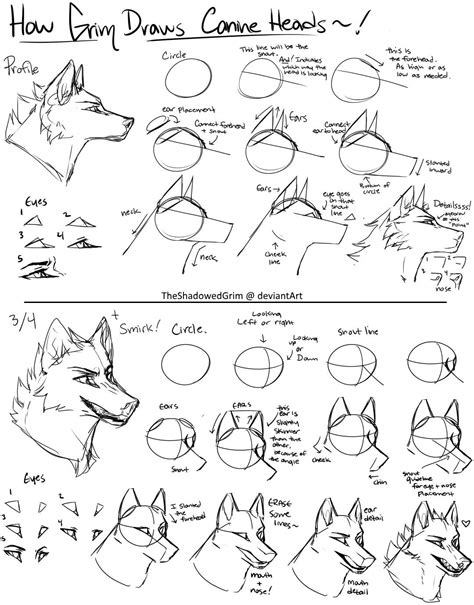 How To Draw A Furry Head at Drawing Tutorials