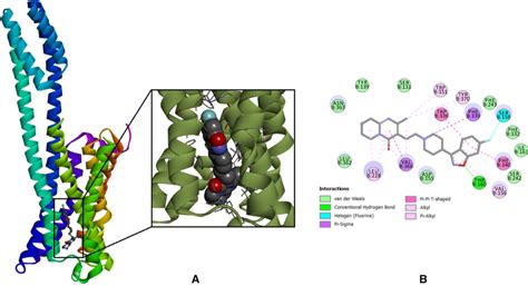 Structure of the 5-HT2A receptor, for Kimura et al. (PDB: 6A93). a... | Download Scientific Diagram