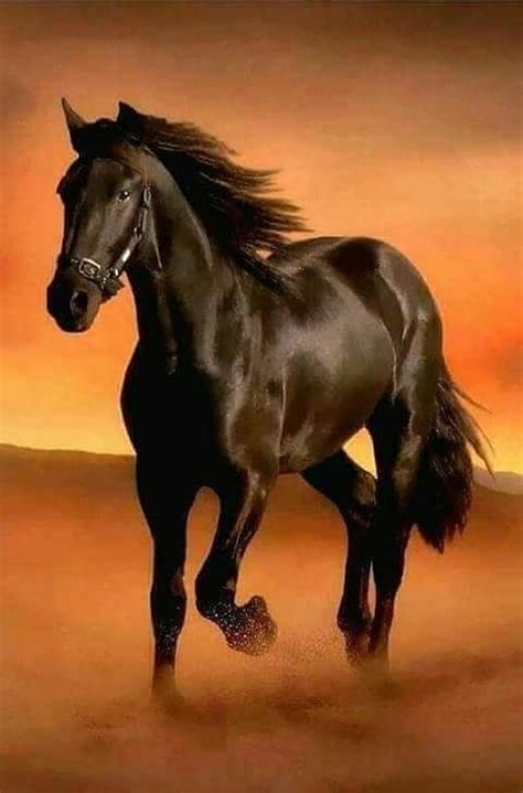 Black Horse Painting by Vishal Gurjar - Pixels