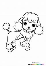 Dog Colouring Printable  Free Templates sketch template