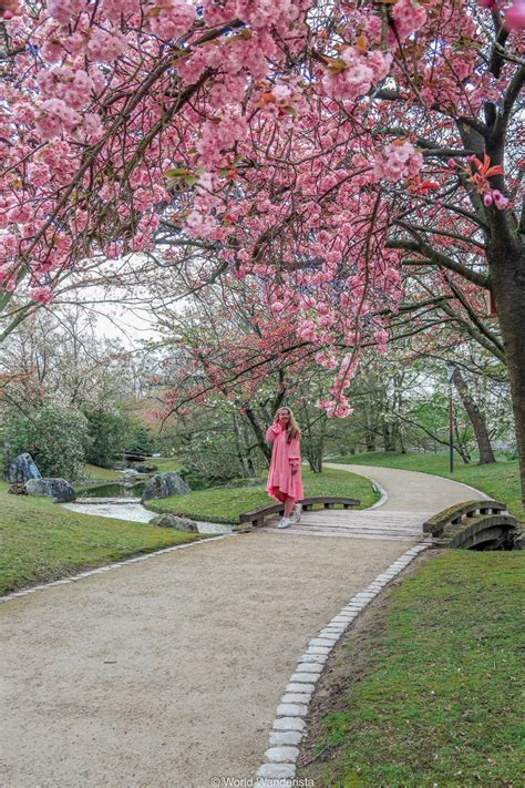 10 most beautiful gardens and parks in Belgium - World Wanderista