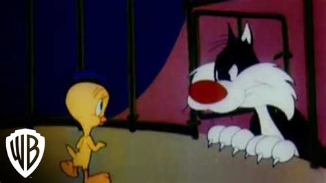 Bugs Bunnny | Tweety | Warner Bros. Entertainment - YouTube