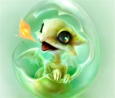 free download | Baby Fire Dragon, Baby, cute, Dragon, Fantasy, HD ...