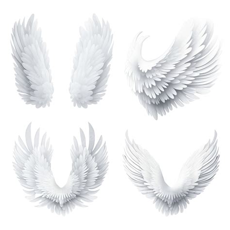 Set Of Different Realistic 3d White Angel Wings, Cartoon Bird Wings ...