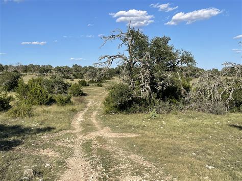 Texana Oaks Ranch » Texas Owner Finance Ranches 5% DOWN