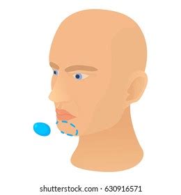 Chin Plastic Correction Icon Cartoon Illustration Stock Vector (Royalty ...