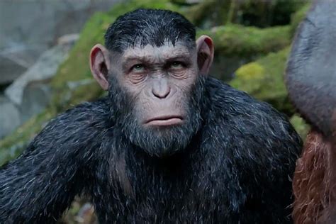 Caesar Planet Of The Apes Wallpaper We ve gathered more than 3 million ...