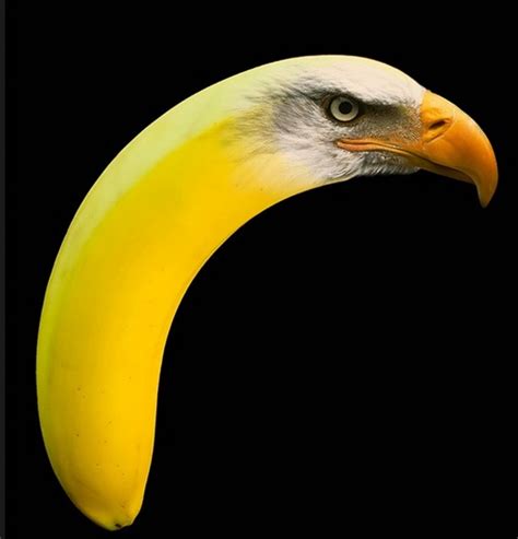 Top 10 Digital Art: Photoshopped Banana Animals