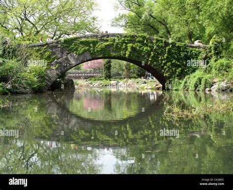 Central Park Bridges