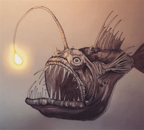 Angler fish, pen ink & digital : r/drawing