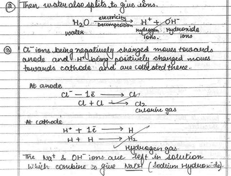 Science Topper`s Answer Sheet - 2019, Class 10 PDF Download