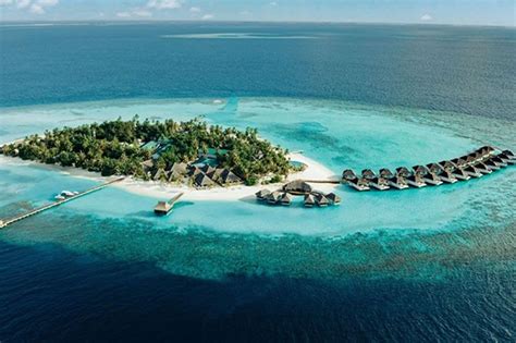 Coral frame planting: How this Maldives resort helps conserve nature ...