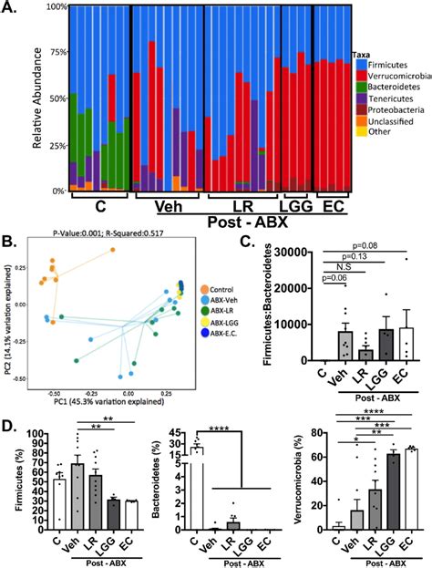 Gut microbiome supplementation following antibiotics (ABX) affects... | Download Scientific Diagram