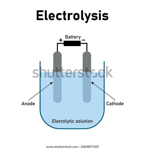 Electrolysis Water Diagram Class Anode Cathode Stock Vector (Royalty Free) 2404897209 | Shutterstock