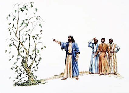 The Fig Tree Parable: Discover the Meaning of Mark 4:10