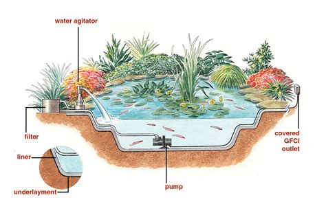 Everything You Need to Know to Build the Perfect Backyard Pond - This Old House