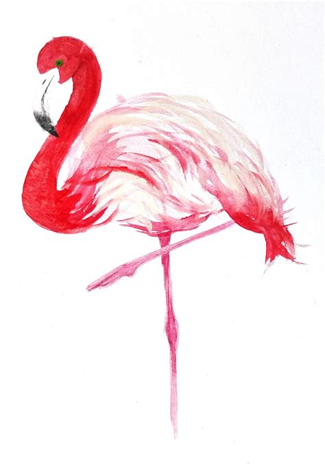 watercolor flamingo painting Flamingo Painting, Waterslides, Watercolor ...