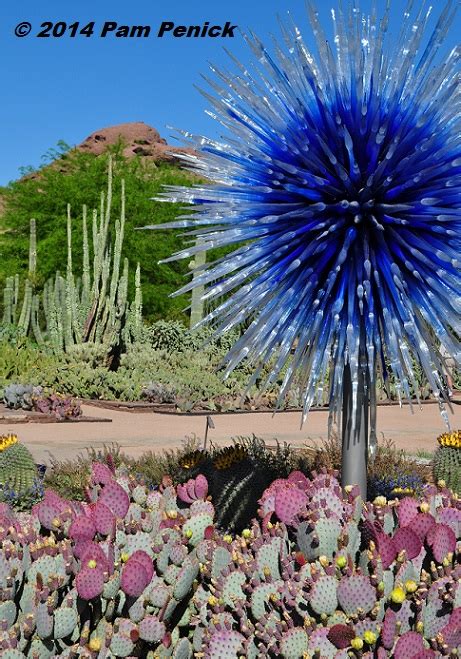 Arizona Desert Botanical Garden Chihuly | Fasci Garden