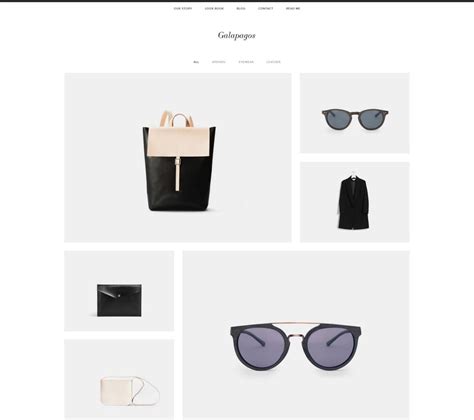 11 Best Squarespace eCommerce Templates | WSS