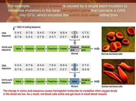 Bits and Bytes of Biology: Missence mutation