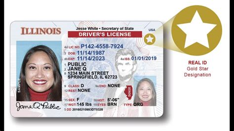 Illinois rolls out REAL ID-compliant licenses, ID cards | wqad.com