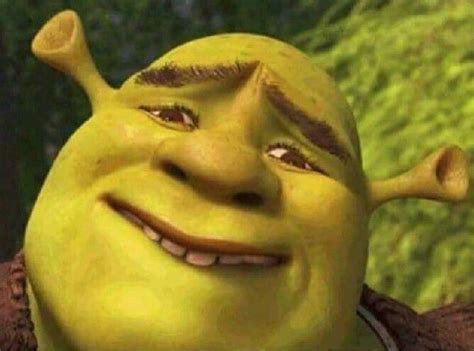 Shrek Gracioso Meme - meme gracioso