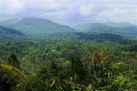 Taman Negara National Park | EASTRAVEL | AITO