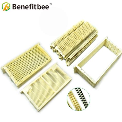 Aliexpress.com : Buy Beekeeping Queen Rearing System Bee Queen Rearing ...