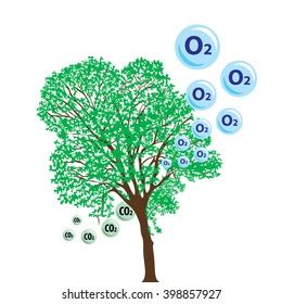 50.866 Oxygen Tree Images, Stock Photos & Vectors | Shutterstock